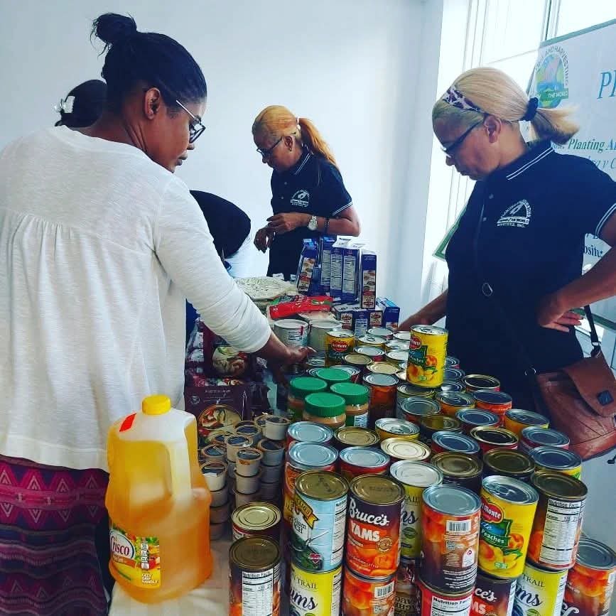 Social Assistance in the Dominican Republic